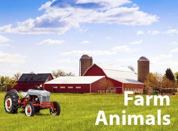 Learn Farm Animals